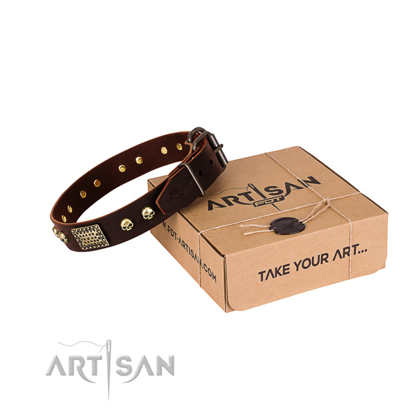 Rust resistant traditional buckle on dog collar for easy wearing