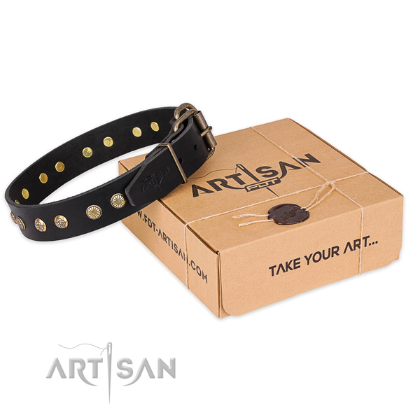 Rust-proof D-ring on leather collar for your handsome doggie