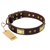 "Rich Fashion" FDT Artisan Decorated Leather Pitbull Collar with Plates and Studs