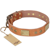 "The Middle Ages" FDT Artisan Handcrafted Tan Leather Pitbull Collar