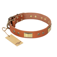 "Enchanting Spectacle" FDT Artisan Tan Leather Pitbull Collar with Old Bronze Look Plates and Round Studs "Enchanting Spectacle" FDT Artisan Tan Leather Pitbull Collar with Old Bronze Look Plates and Round Studs