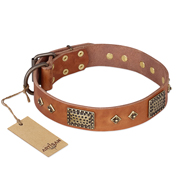 "Catchy Look" FDT Artisan Decorated Tan Leather Pitbull Collar