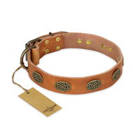 "Magic Amulet" FDT Artisan Tan Leather Pitbull Collar with Oval Studs