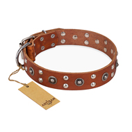 "Silver Elegance" FDT Artisan Decorated Leather Pitbull Collar with Old Silver-Like Plated Studs and Cones