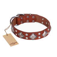 "Magic Squares" FDT Artisan Tan Leather Pitbull Collar with Silver-like Decor