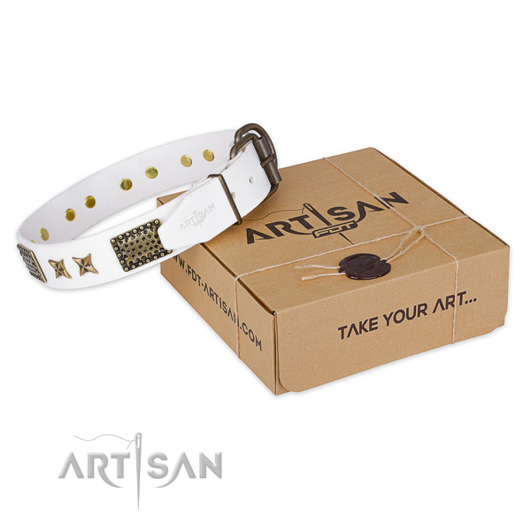 Corrosion proof traditional buckle on leather collar for your stylish pet