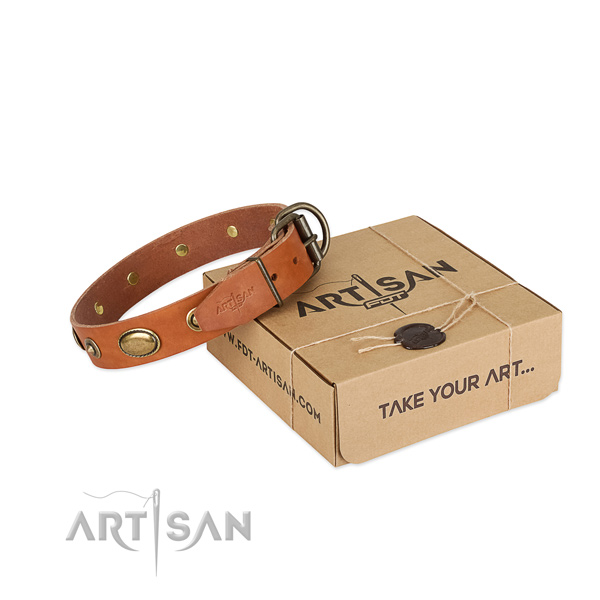 Rust resistant buckle on natural leather dog collar for your doggie