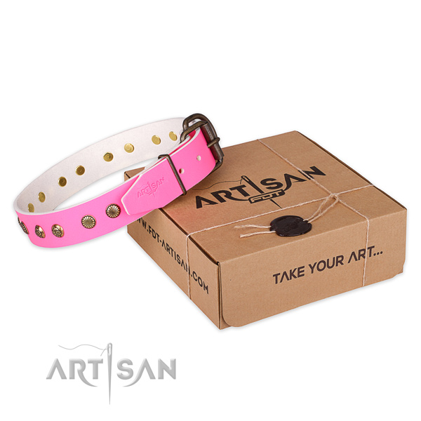 Reliable traditional buckle on leather collar for your lovely dog