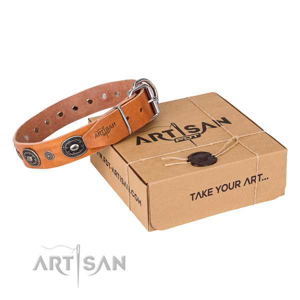 Strong full grain leather dog collar created for handy use