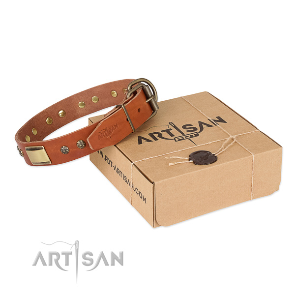 Unusual leather collar for your stylish doggie