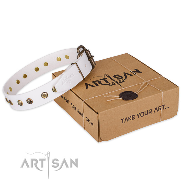 Reliable traditional buckle on full grain leather collar for your attractive pet