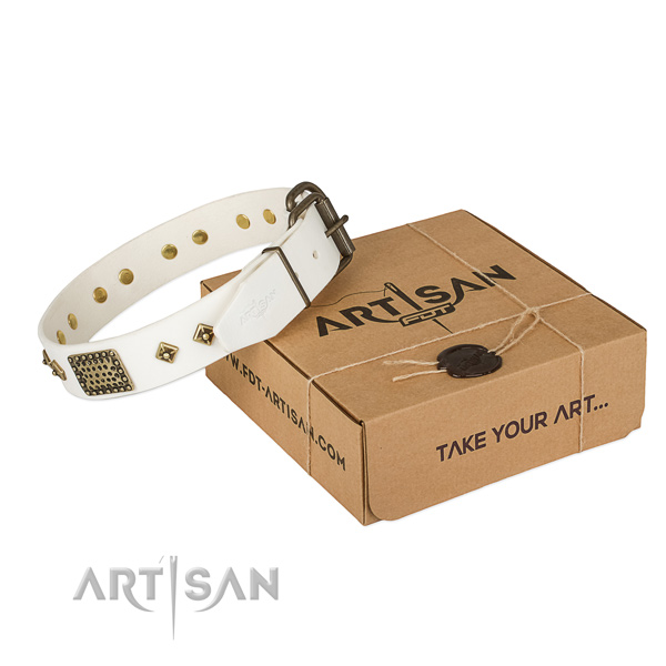 Perfect fit genuine leather collar for your beautiful dog