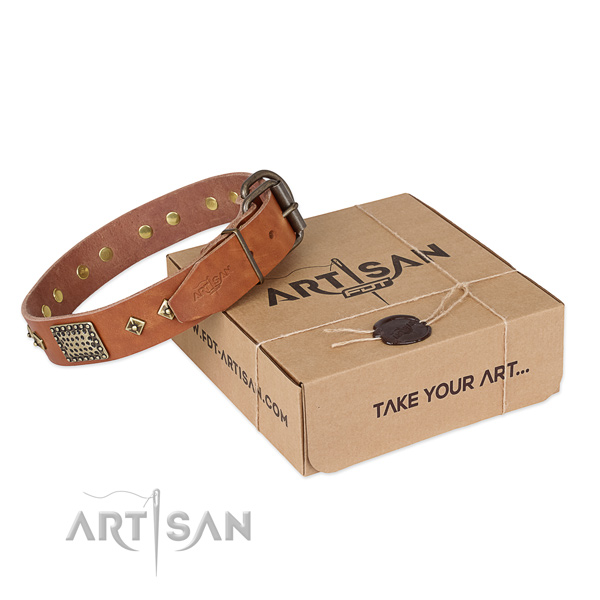 Stunning genuine leather collar for your stylish pet