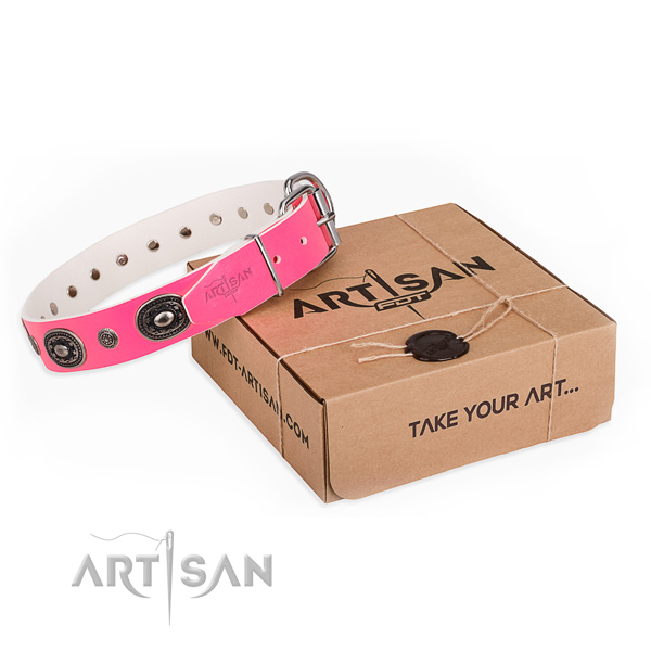 Top notch genuine leather dog collar made for basic training