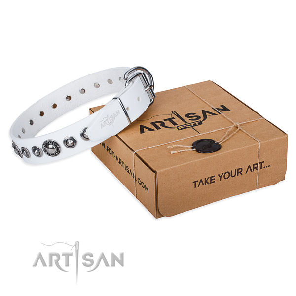 Full grain natural leather dog collar made of quality material with corrosion resistant buckle