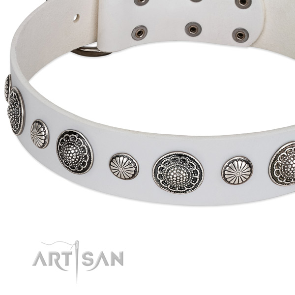 Full grain leather collar with corrosion resistant traditional buckle for your impressive canine