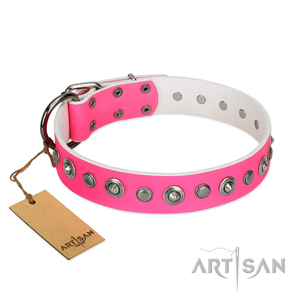 Top notch leather dog collar with awesome decorations