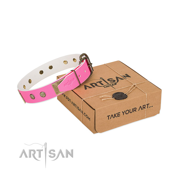 Durable embellishments on dog collar for daily walking