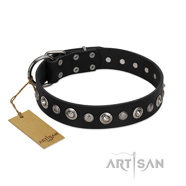 Fine quality full grain leather dog collar with awesome studs