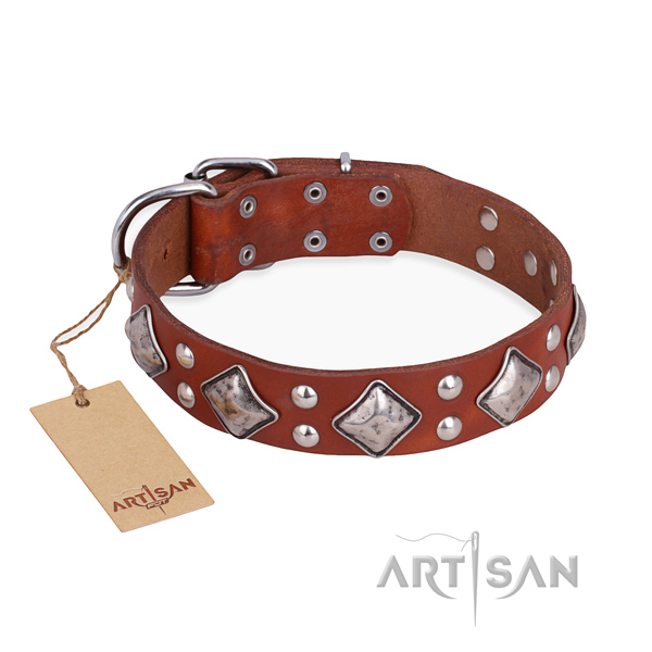 Walking trendy dog collar with rust resistant hardware