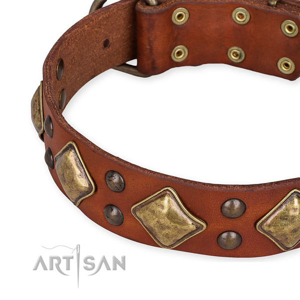 Leather collar with corrosion proof fittings for your stylish doggie