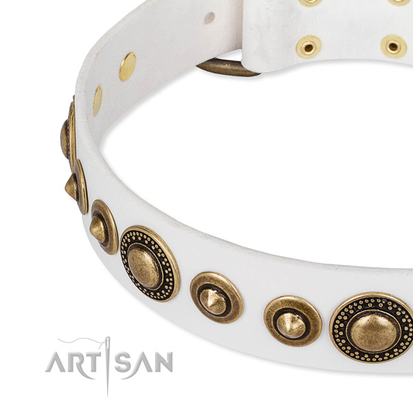 Top notch full grain natural leather dog collar handcrafted for your handsome pet