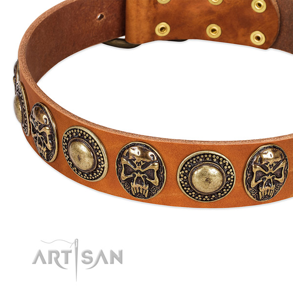 Rust resistant studs on full grain leather dog collar for your doggie