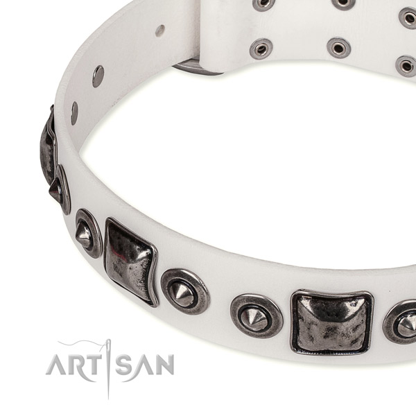 Top notch full grain leather dog collar created for your attractive doggie