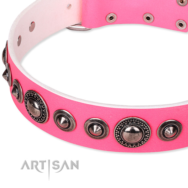 Daily walking embellished dog collar of reliable full grain natural leather