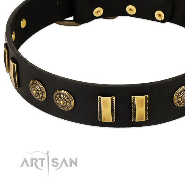 Corrosion proof D-ring on natural leather dog collar for your four-legged friend