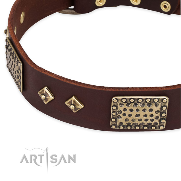 Rust-proof embellishments on genuine leather dog collar for your four-legged friend