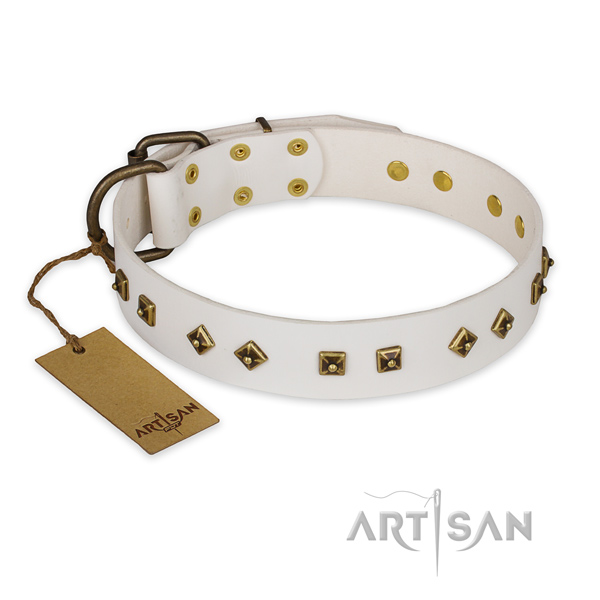 Impressive full grain natural leather dog collar with rust resistant traditional buckle