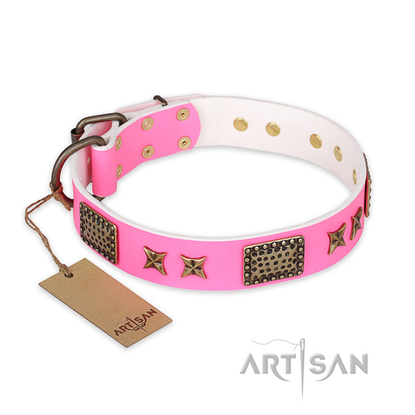 Decorated leather dog collar with strong buckle