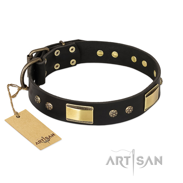 Incredible natural leather collar for your four-legged friend