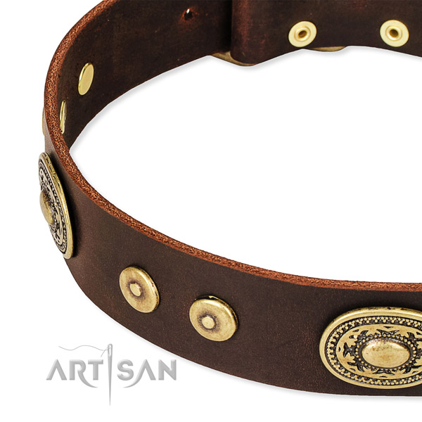 Embellished dog collar made of best quality full grain natural leather
