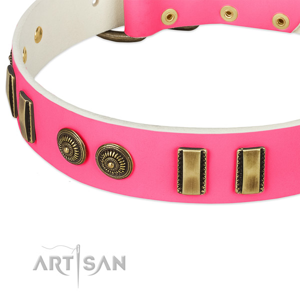 Durable adornments on leather dog collar for your canine