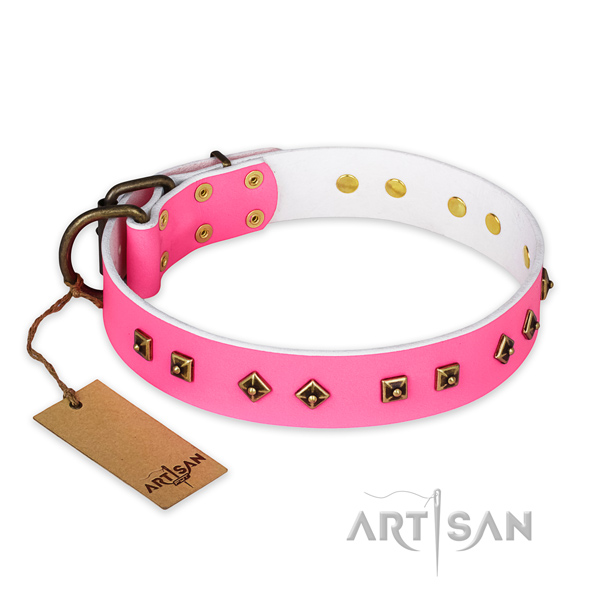 Extraordinary full grain natural leather dog collar with rust resistant hardware