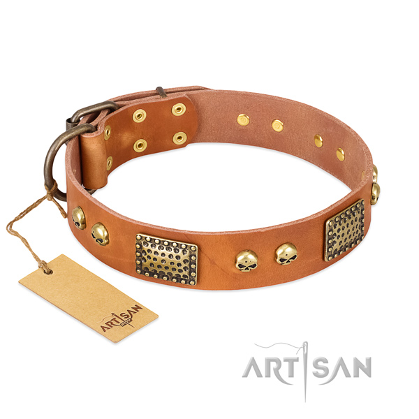 Adjustable genuine leather dog collar for daily walking your dog