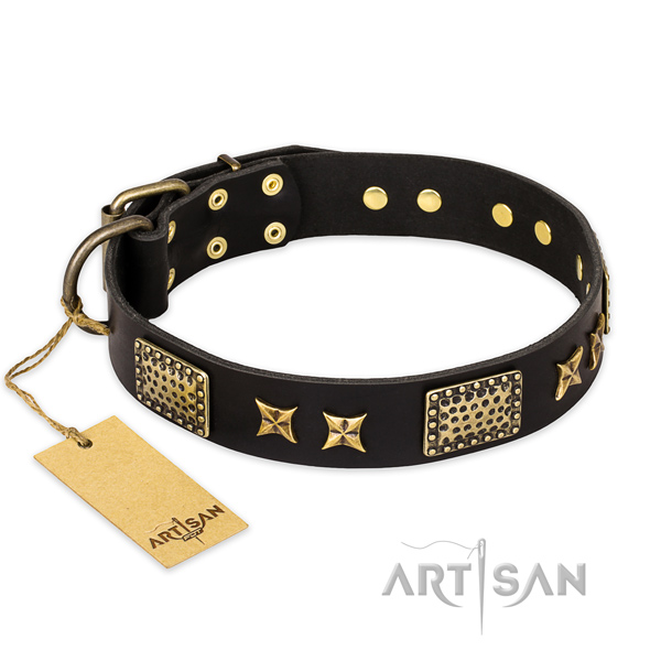 Fine quality full grain leather dog collar with corrosion proof traditional buckle
