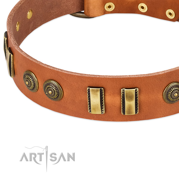 Rust resistant traditional buckle on leather dog collar for your dog