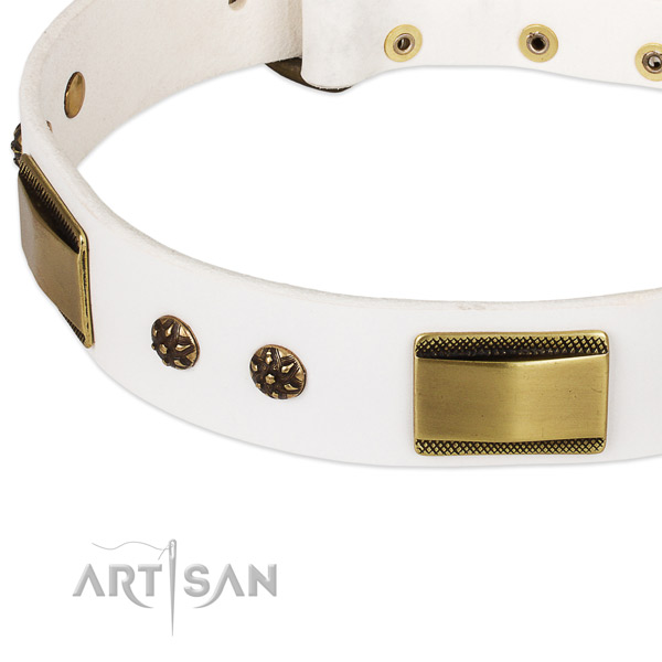 Corrosion resistant D-ring on leather dog collar for your canine