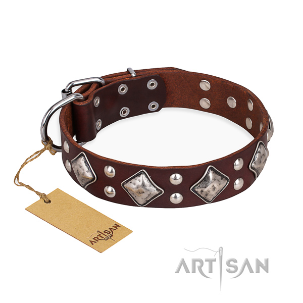 Daily walking remarkable dog collar with strong buckle