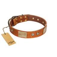 "Ancient Treasures" FDT Artisan Tan Leather Pitbull Collar with Antiqued Plates and Studs