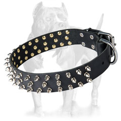 Black Leather Spiked dog Collar for Pitbull