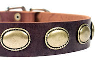 High Quality Leather Dog Collar for Pitbull