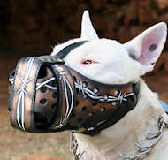Bull Terrier Hand painted leather Muzzle "Dondi" Plus