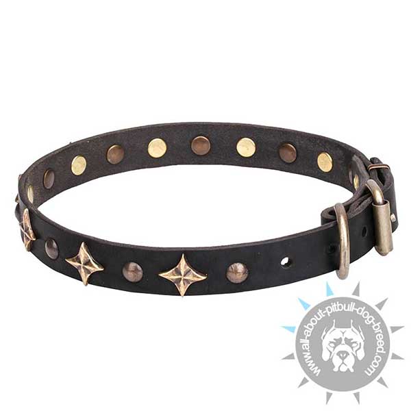 Up-to-trend Walking Leather  Collar for Pitbull