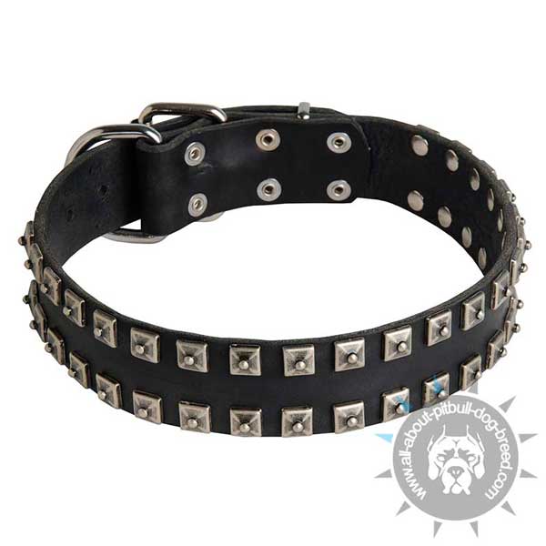 Walking leather dog collar safe and secure