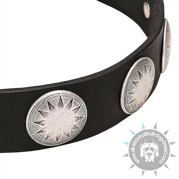 Handset Silver-Like Studs on Leather Dog Collar