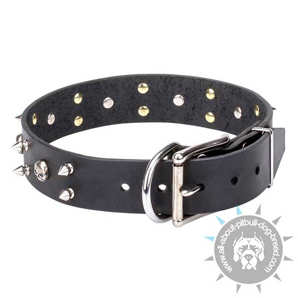 Selected Leather Collar with Rust-proof Buckle